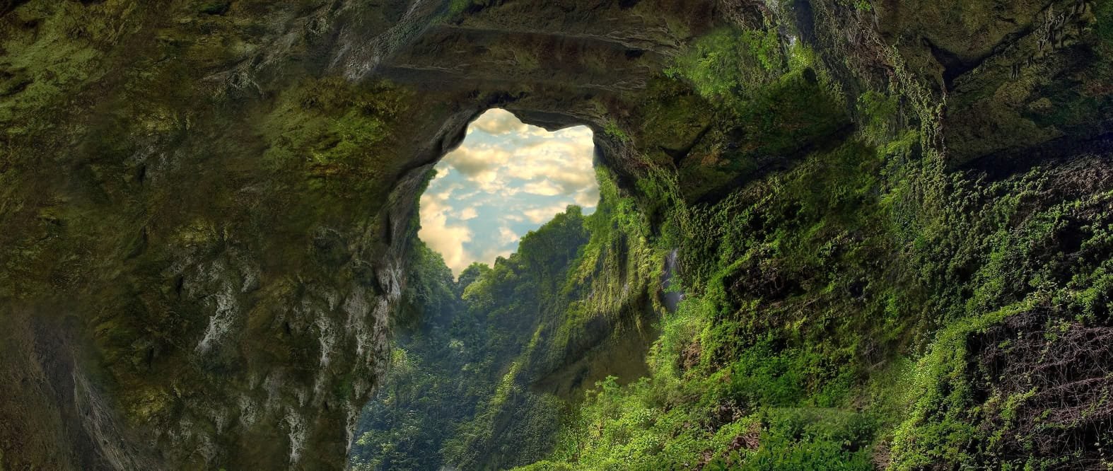 Concept art of a jungle canyon seen from inside a cave